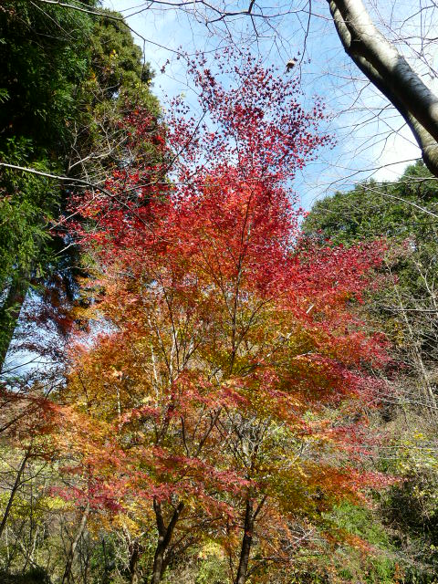 e0145782_17174036.jpg