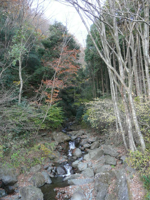 e0145782_17182963.jpg