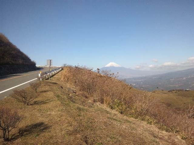 f0131382_1645542.jpg