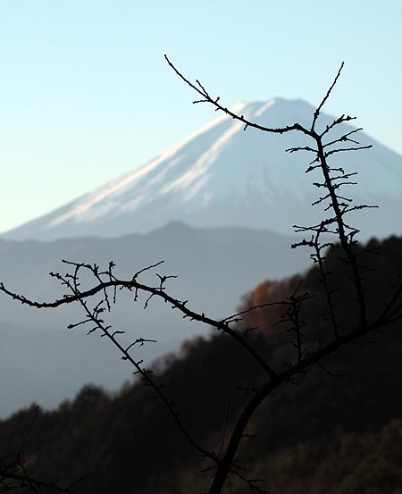d0179883_1002177.jpg