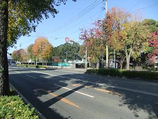 e0048994_927597.jpg