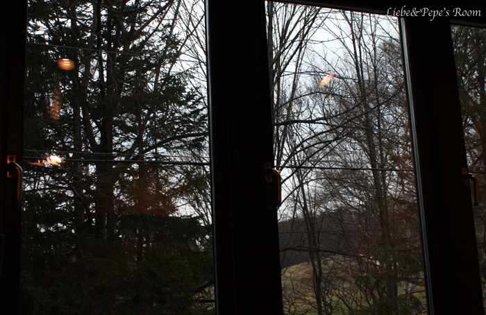 f0001895_17255217.jpg