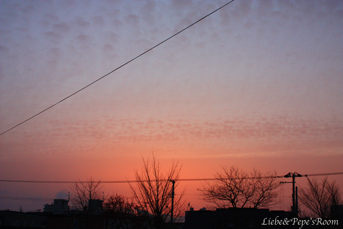 f0001895_1794410.jpg