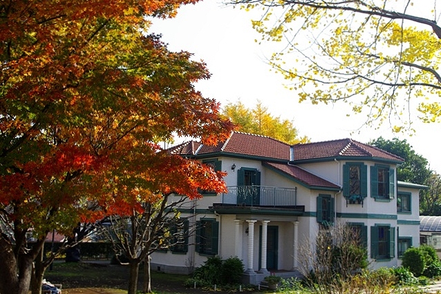 c0125596_22232731.jpg