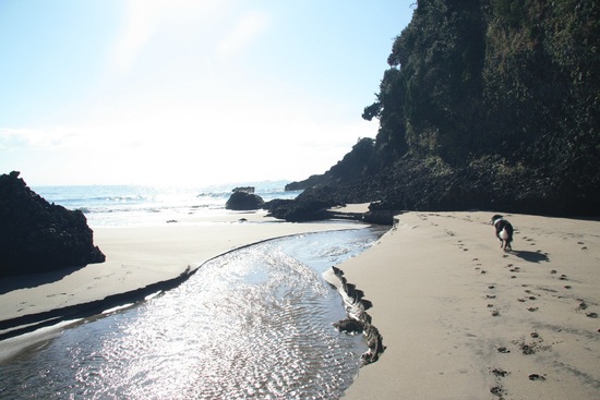 f0034602_181056.jpg