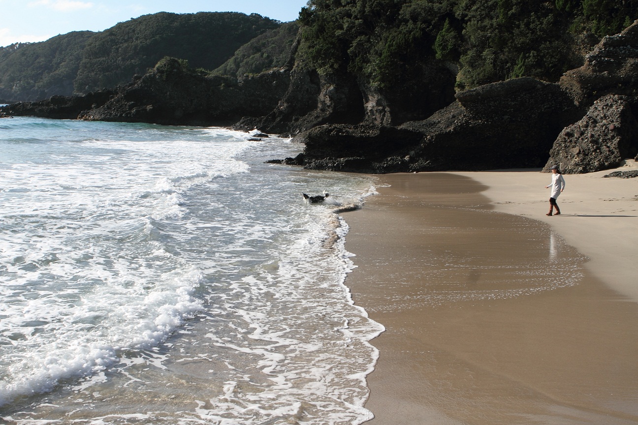 f0034602_18113264.jpg