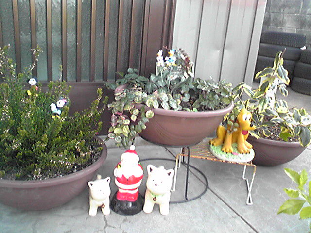 f0079202_20562854.jpg