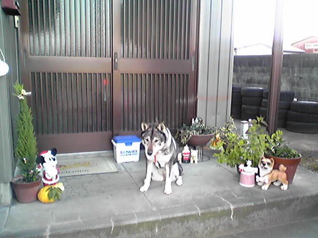 f0079202_20562884.jpg