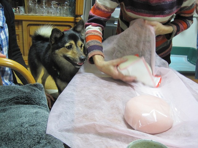 f0202703_23245748.jpg