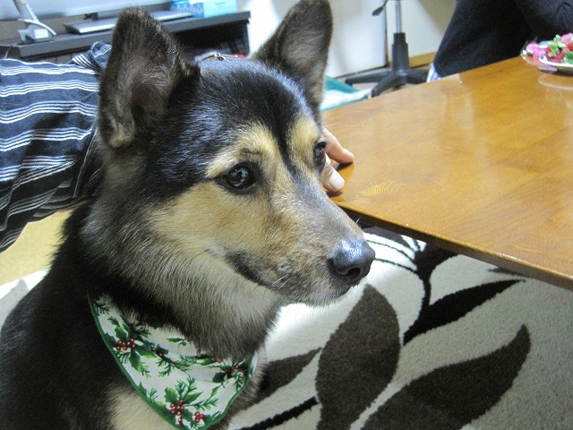 f0202703_23591397.jpg