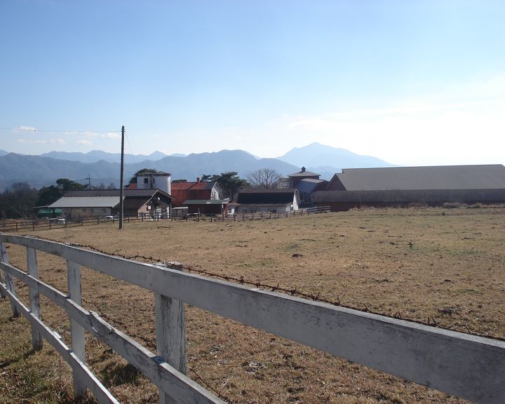 b0148106_6335039.jpg