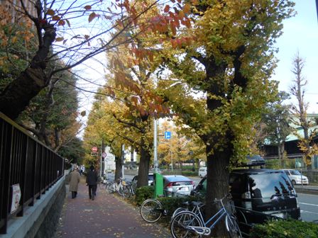 b0026408_2234853.jpg