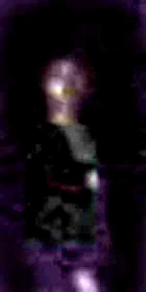 e0103408_058584.gif