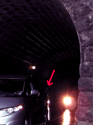 e0103408_17292762.gif