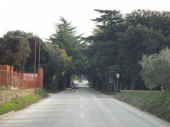 b0197609_6254428.jpg
