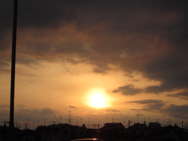 d0150309_202907.jpg