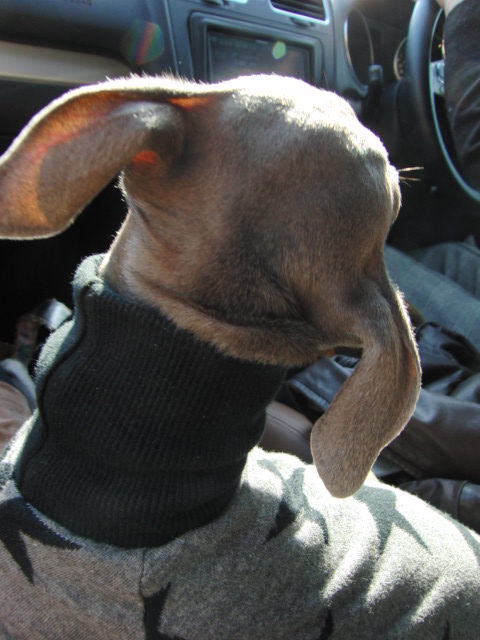 e0141909_2359966.jpg