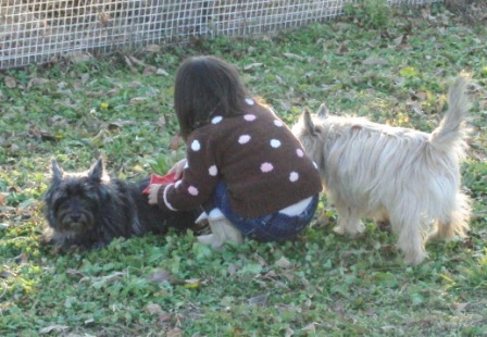 e0078510_15115615.jpg