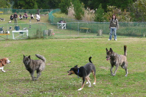 f0121712_14275574.jpg