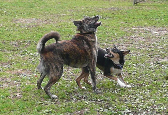 f0121712_321320.jpg