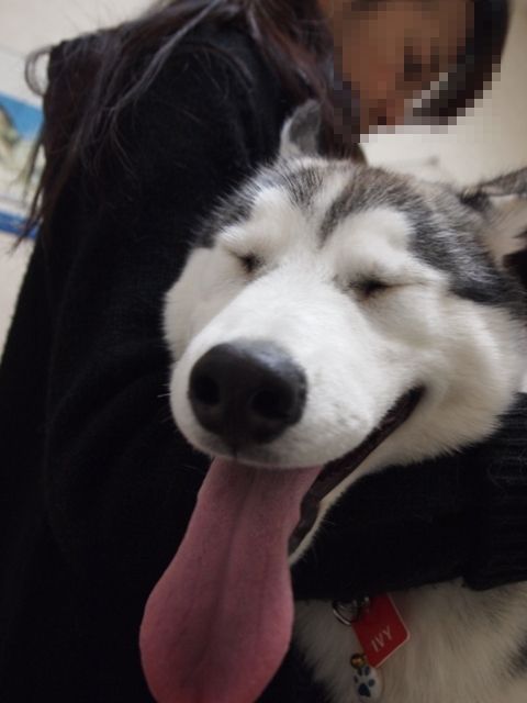 b0207615_23172015.jpg