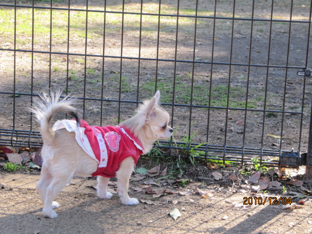 c0200916_2154219.jpg