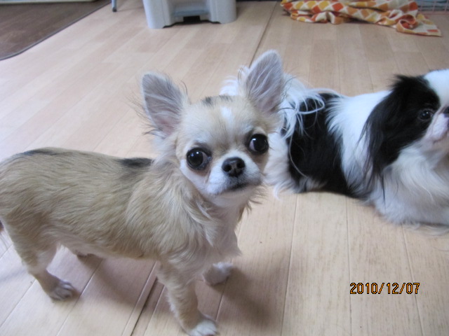 c0200916_2159650.jpg