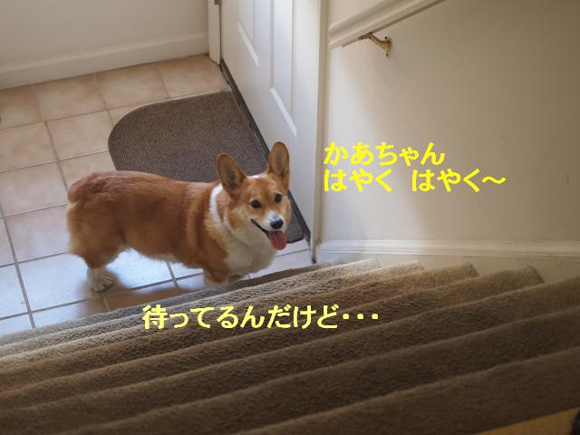 e0147716_9031100.jpg