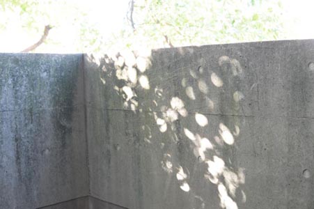 c0103119_1717672.jpg