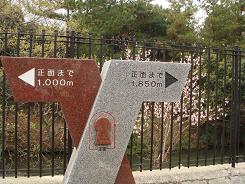 f0000521_4443024.jpg
