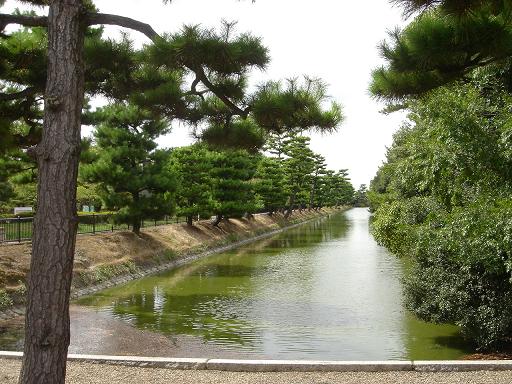 f0000521_511887.jpg
