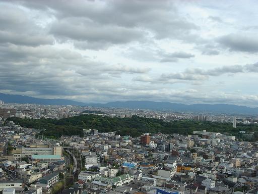 f0000521_53387.jpg