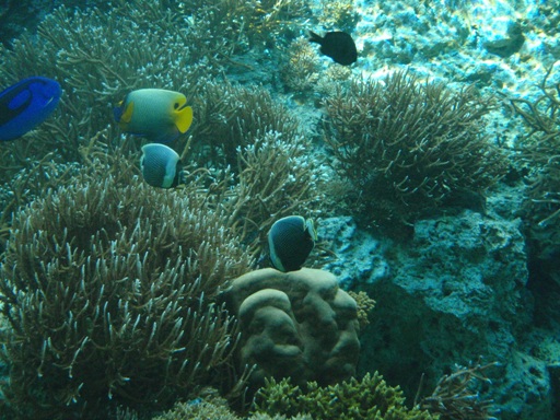 b0198925_11433592.jpg