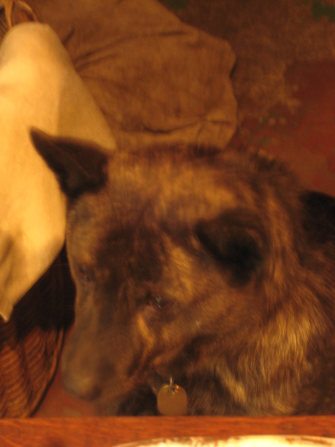 d0147727_20171953.jpg