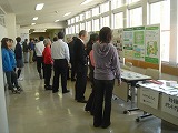 f0167635_535535.jpg