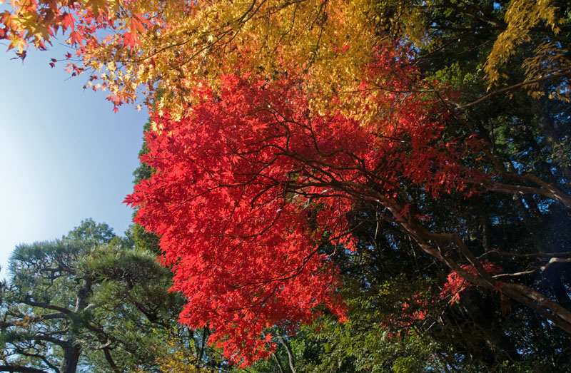 b0042837_20471489.jpg