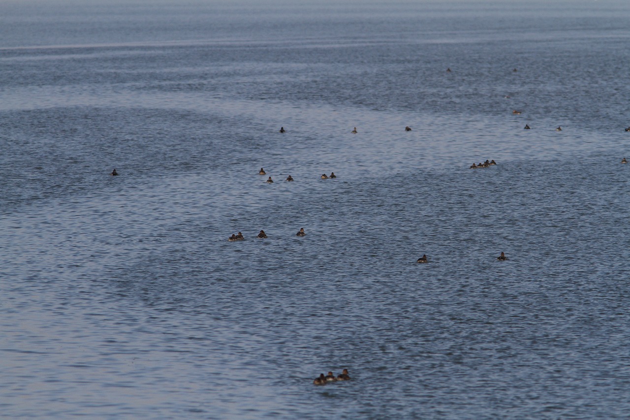 c0172139_104173.jpg