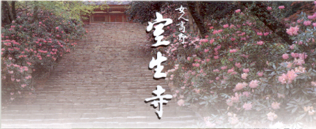 a0100742_9174121.jpg