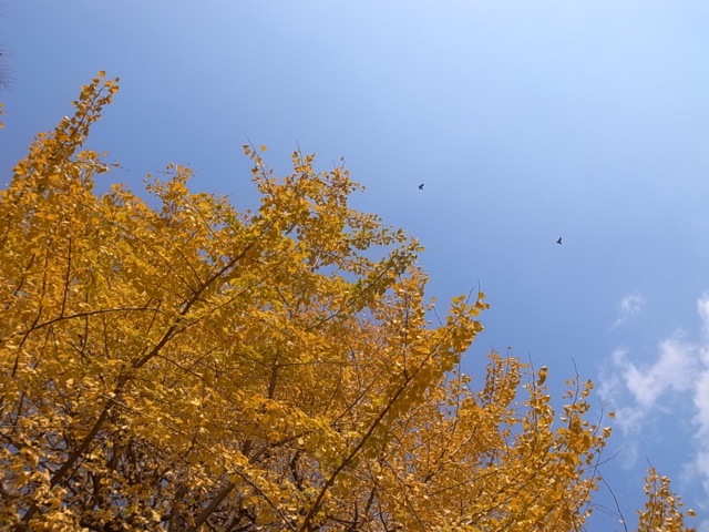 d0075945_0503444.jpg