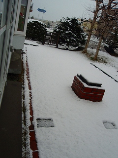 e0004756_20282857.jpg