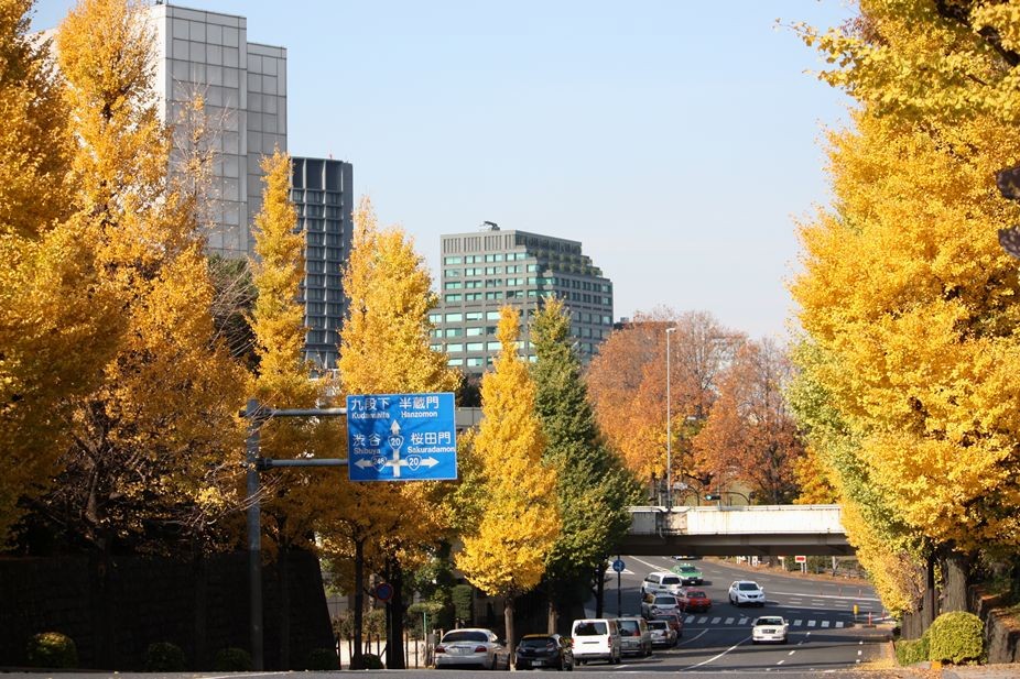 e0129656_2337209.jpg