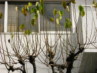a0021558_22411249.jpg