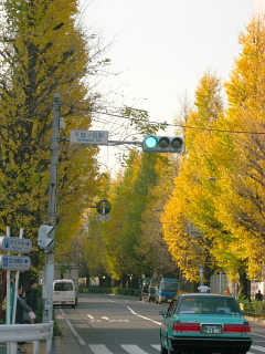 a0021558_22454459.jpg