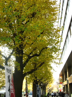 a0021558_22473415.jpg