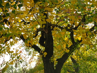 a0021558_2250830.jpg