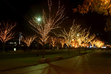 e0014058_9305252.jpg