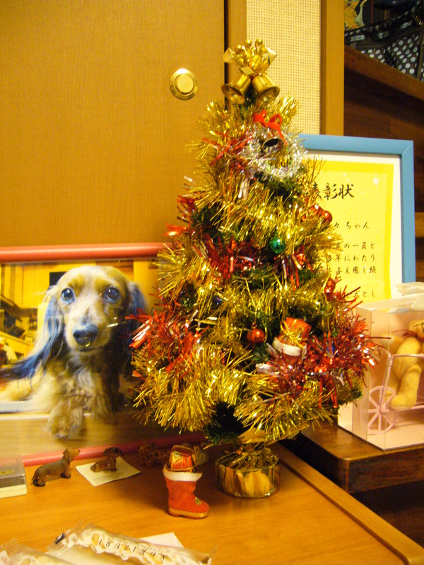 c0135361_2140769.jpg