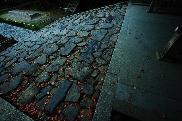 f0222161_23535510.jpg