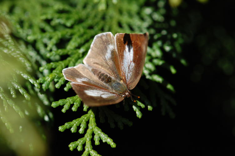 b0167762_2252365.jpg
