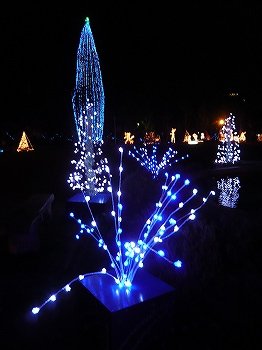 f0106664_7294082.jpg